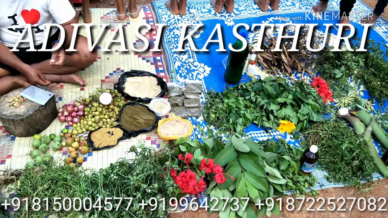 Adivasi Kasthuri Herbal Hair Oil Contact Number +918150004577