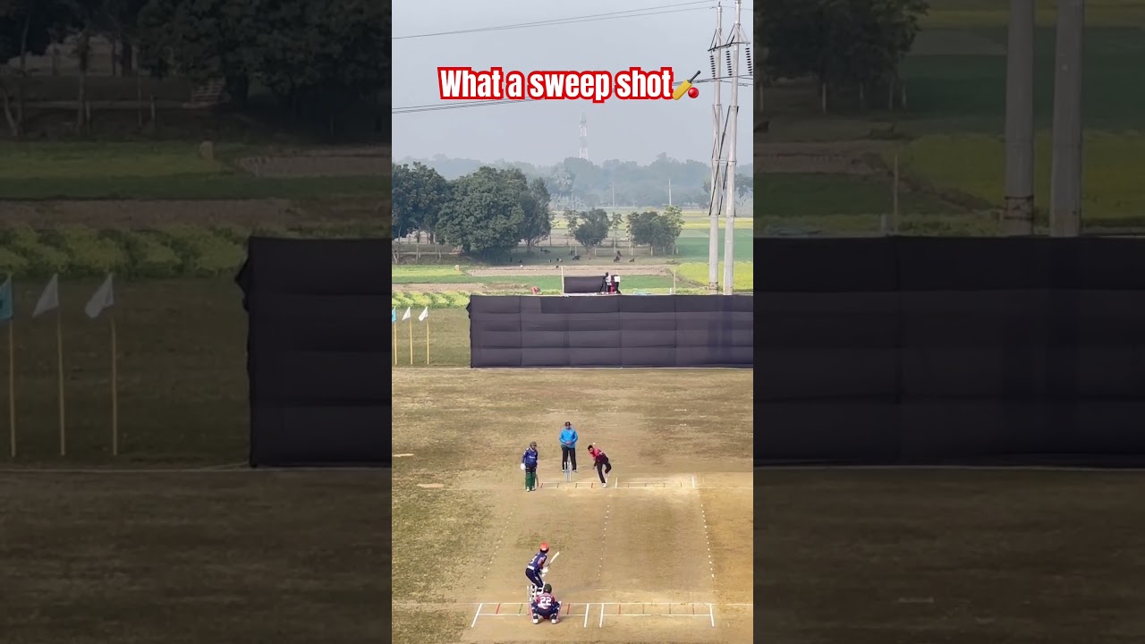Best spin attack🏏