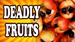 Top 10 Weird Fruits That Could Kill You — TopTenzNet