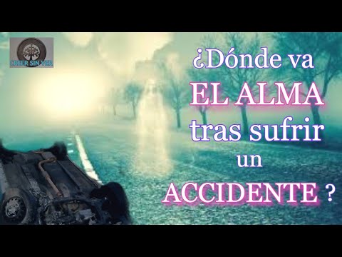 ¿DÓNDE VA EL