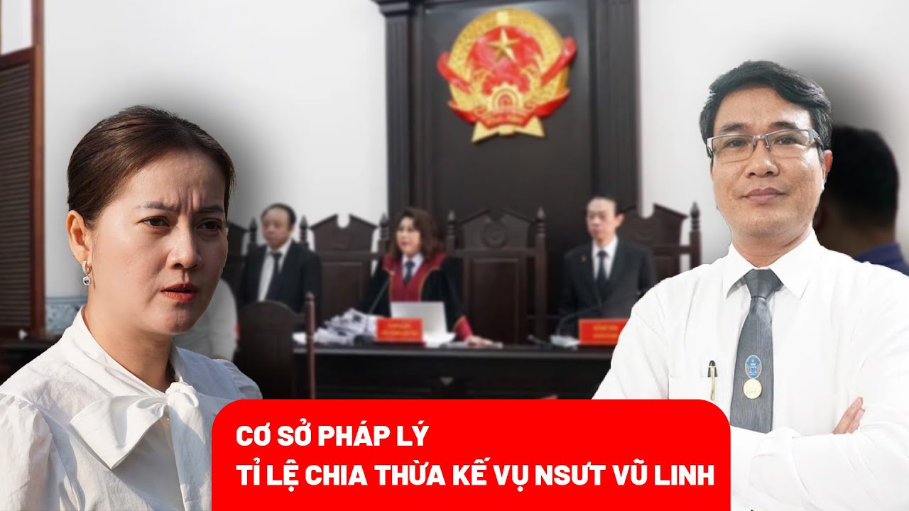 Cơ sở nào cho tỉ lệ chia thừa kế trong vụ tranh chấp di sản thừa kế cố NSƯT Vũ Linh? - PLO