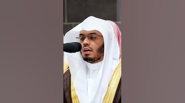 ما تيسر من #سورة_الشعراء للشيخ #ياسر_الدوسري من #المسجدالحرام #رمضان ١٤٤٥ هـ#محبرو_القرآن_الكريم