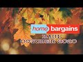 Home Bargains haul~October 2020