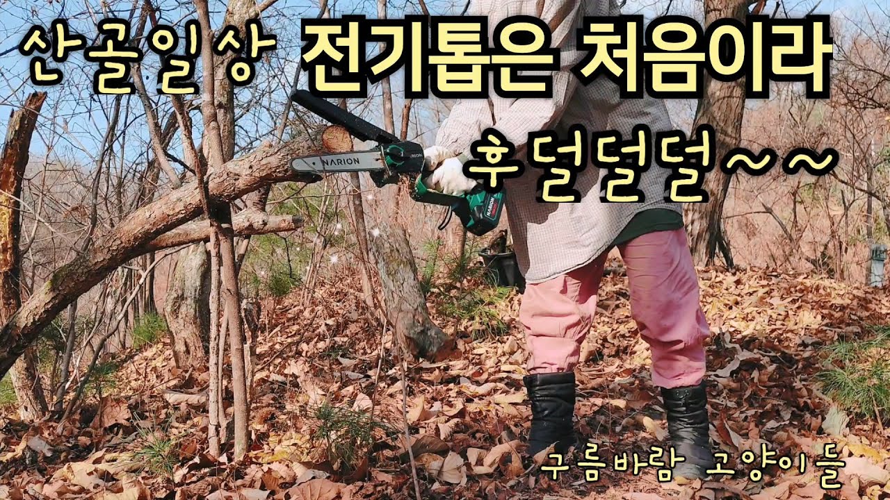 수동톱질이 힘에 부쳐 드뎌 전기톱을 샀습니다~ 8인치 충전톱 박스개봉, 벌목타임, 밥 조르는 냥이, 난롯가 고양이들