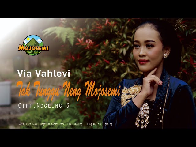 Via Vahlevi - Tak Tunggu Neng Mojosemi [ Official Music Video ] class=