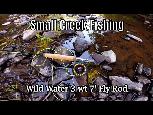  Wild Water Fly Fishing Fly Rod 3 Weight, 5 Foot 6 inches,  4-Piece : Sports & Outdoors