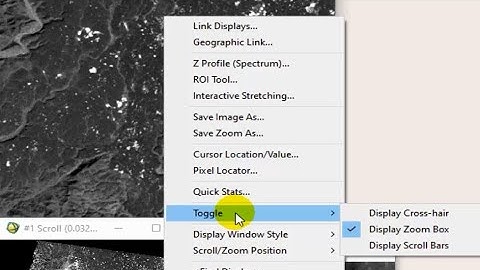 Envi Interface 2  2  Image Scroll  Zoom windows