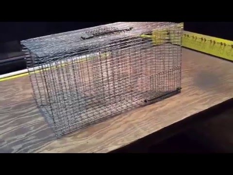 Bait Fish Traps - Perch Traps 