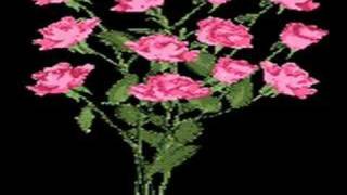 Kütahya Oyun Havası 3Şerfem