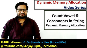 Count vowel and consonants in string using dynamic memory allocation in c programming