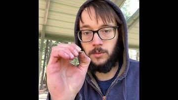 CVA BOBCAT: Load and Shoot Short