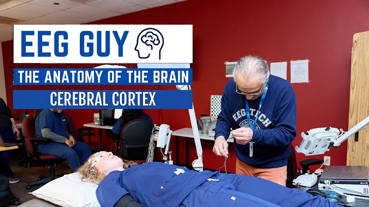 EEG Guy: The Anatomy of the Brain - Cerebral Cortex