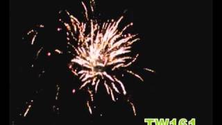 TW161.avi