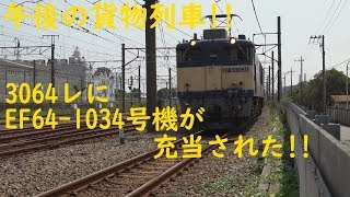 2019/07/30 [貨物列車] 午後の貨物列車!! 3064レにEF64-1034号機が充当された!! 川崎貨物界隈から尻手短絡線にて収録!!