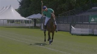 A Polo Primer: Lessons From a Pro