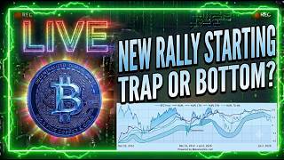 BITCOIN RALLY TO 70K? FINAL BULL TRAP!? Preparing For End of Bear Market! Bitcoin MSTR Dogecoin LIVE