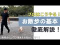 【実践動画】お散歩練習!まずはここからはじめてみよう!