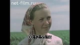 Так мы живём. (1958)