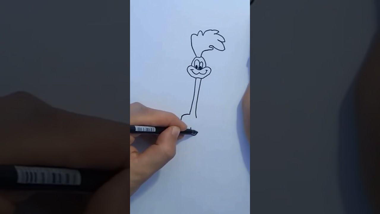 How to draw Road Runner  