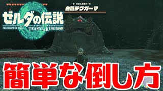 【ゼルダティアキン】白蒼デグガーマの簡単な倒し方【ゼルダの伝説ティアーズオブザキングダム】The Legend of Zelda Tears of the Kingdom