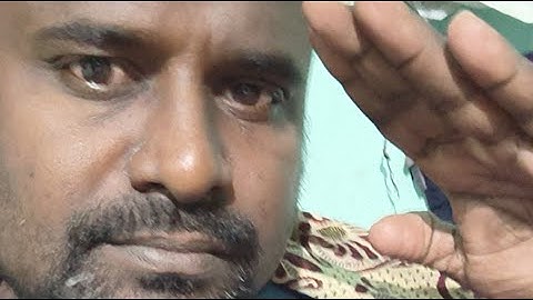 Stackball 🔴 LIVE high score challenge 🔥 world record and funtalk #shortsfeed #yt