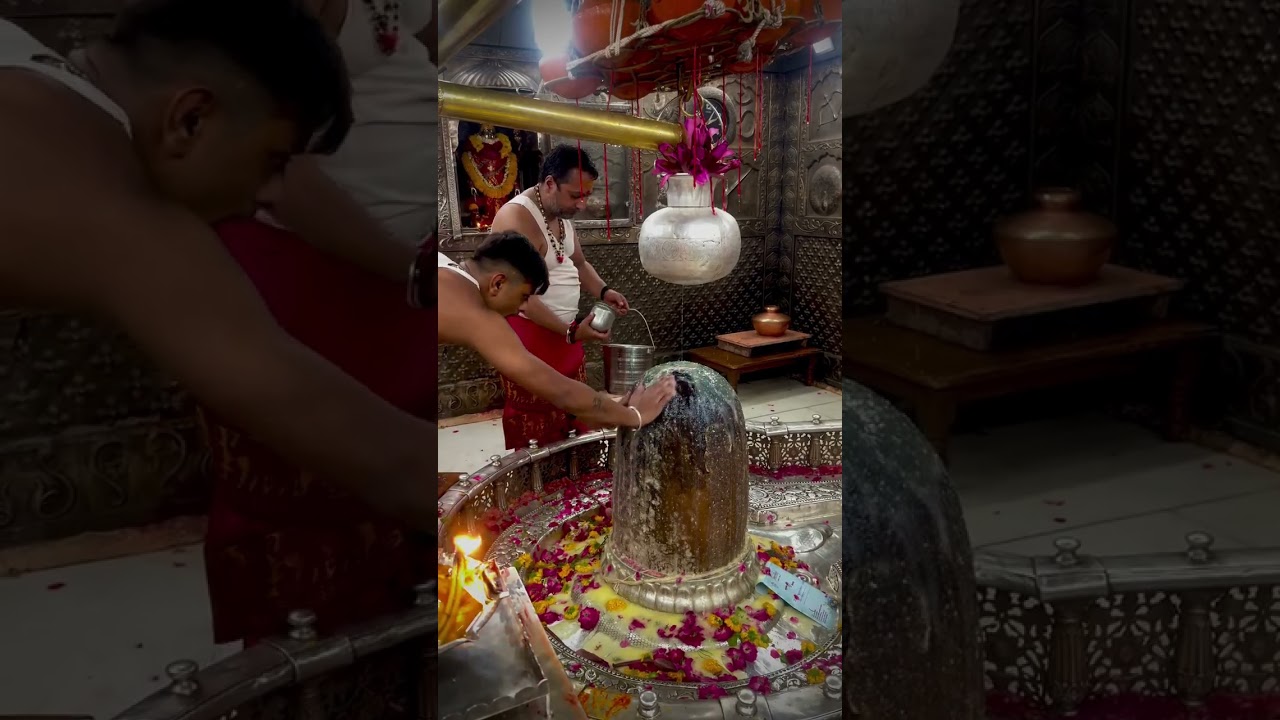 Bam Bam Bam Bhole #bhaktivibes #bhakti #song