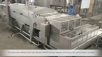 EggsCargoSystem® trays and pallets washed automatically