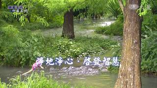 In the Footsteps of Venerable Master Cheng Yen - Cultivating Wisdom Through Recycling (淨地淨心 啟發智慧)