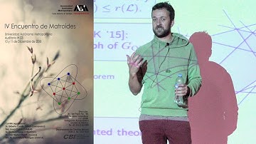 Más allá de matroides orientados (Kolja Knauer)