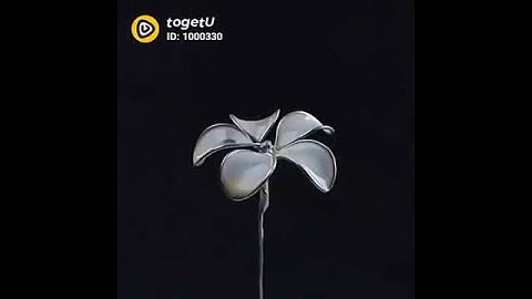 togetU – Video Community 1542980200771000