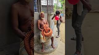 GIANT King Cobra Snake Prank On My Sleeping Grandpa! 🐍