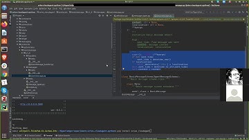 Defining a Hyperledger Aries Aca-Py protocol - Walkthrough