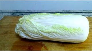 白菜梗炒肉丝的家常炒法，炒前只需这一步，炒出的白菜清脆爽口