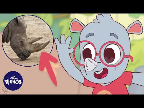 Learning Videos | Stomp! Stomp! Rhinos