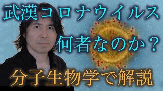 武漢コロナウイルスの起源と進化【分子生物学】
