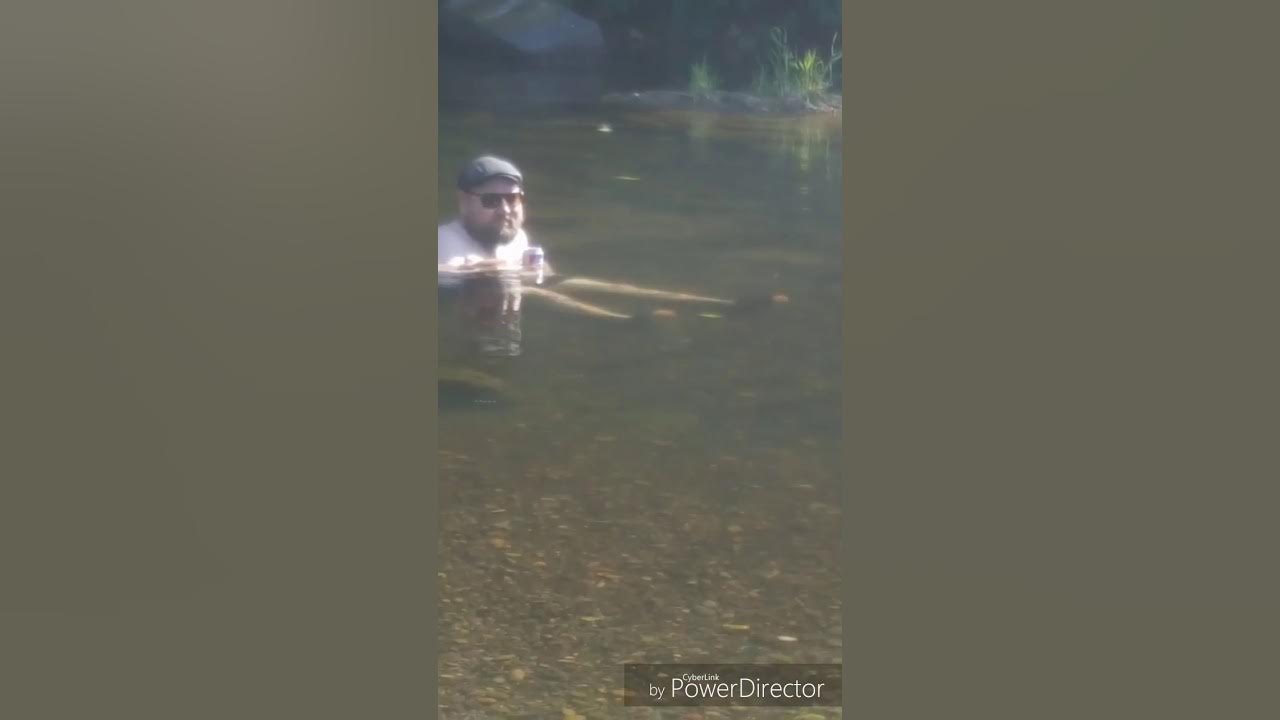 Naselle river time YouTube