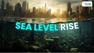 Sea Level Rise: Causes \& Effects | Understanding the Impact of Climate Change | Letstute