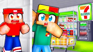 I Built a SECRET 7Eleven in my House!