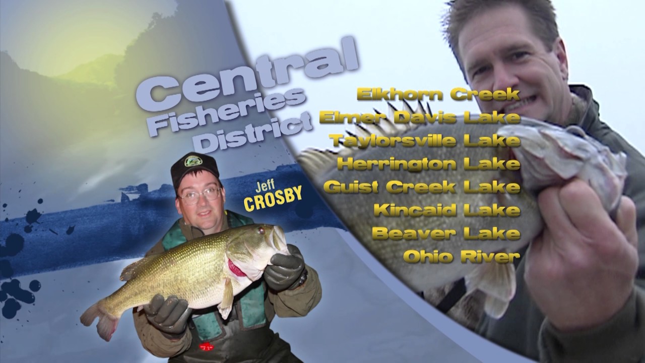fishing report cape cod Fishing Report - August 5th, 2017
