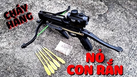 NỎ SĂN CON RẮN NGA CAO CẤP SỮ DỤNG BI SẮT VÀ MŨI TÊN 6MM ĐỘ CHUẨN LÊN ĐẾN 50 MÉT