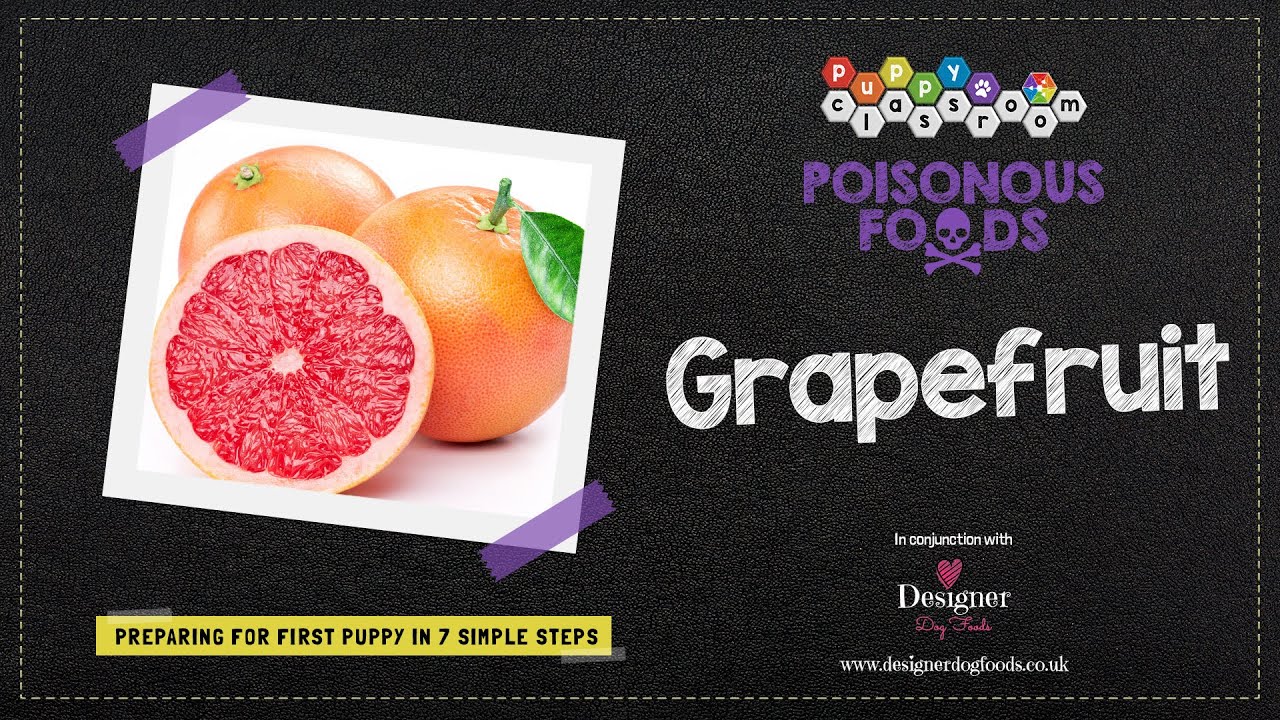 Can Dogs Eat Grapefruit?