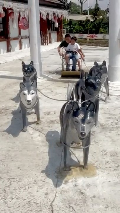 Why won't the snow dog sled move⁉️