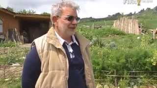 картинка: Уникалното стопанство на Георги и Даниела до Белоградчик