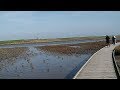 Langwarder Groden und "Das schwimmende Moor" Sehestedt