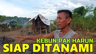 TERUS DUKUNG PAK HARUN BERKEBUN UNTUK HIDUP YANG LEBIH BAIK