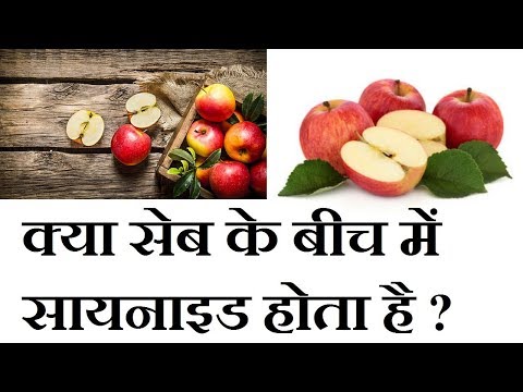 वीडियो: क्या ओक के सेब जहरीले होते हैं?