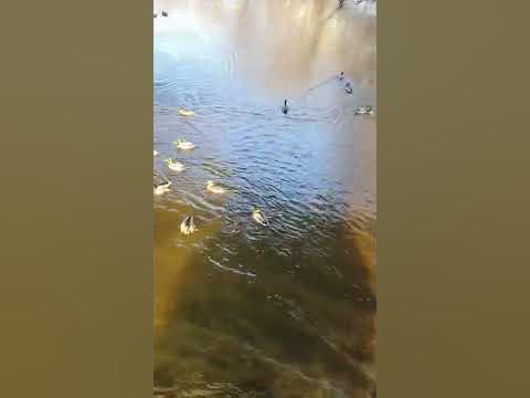 Мытищи - YouTube