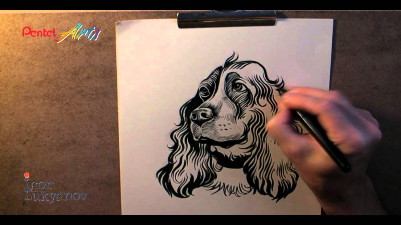 How To Draw With a (Pentel) Brush Pen · Beginner's Tips · SemiSkimmedMin 