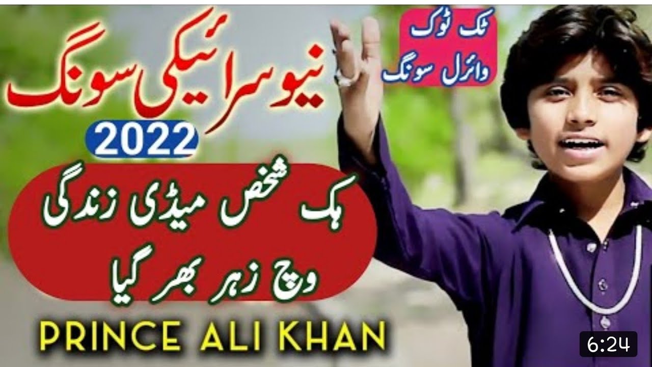 New Saraiki Song 2022   Hik Shaks Medi Zindagi Vich Zahir Bhar Gia l TikTok viral song l Prince Ali