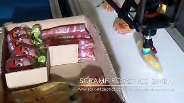 [Industrial Applicaiton] Using Delta robot for packaging